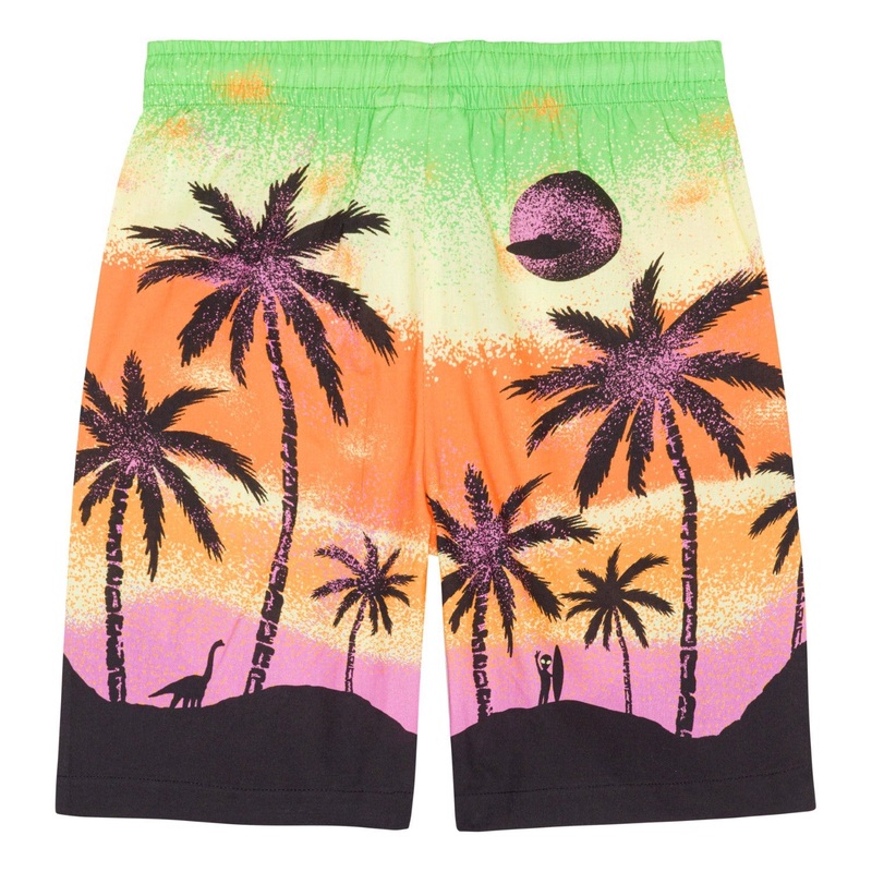 Alien Island Board Shorts