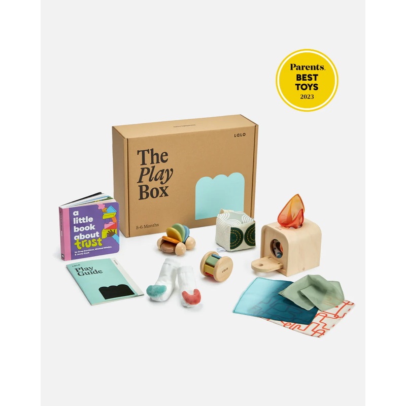 The Play Box: 5-6 Months