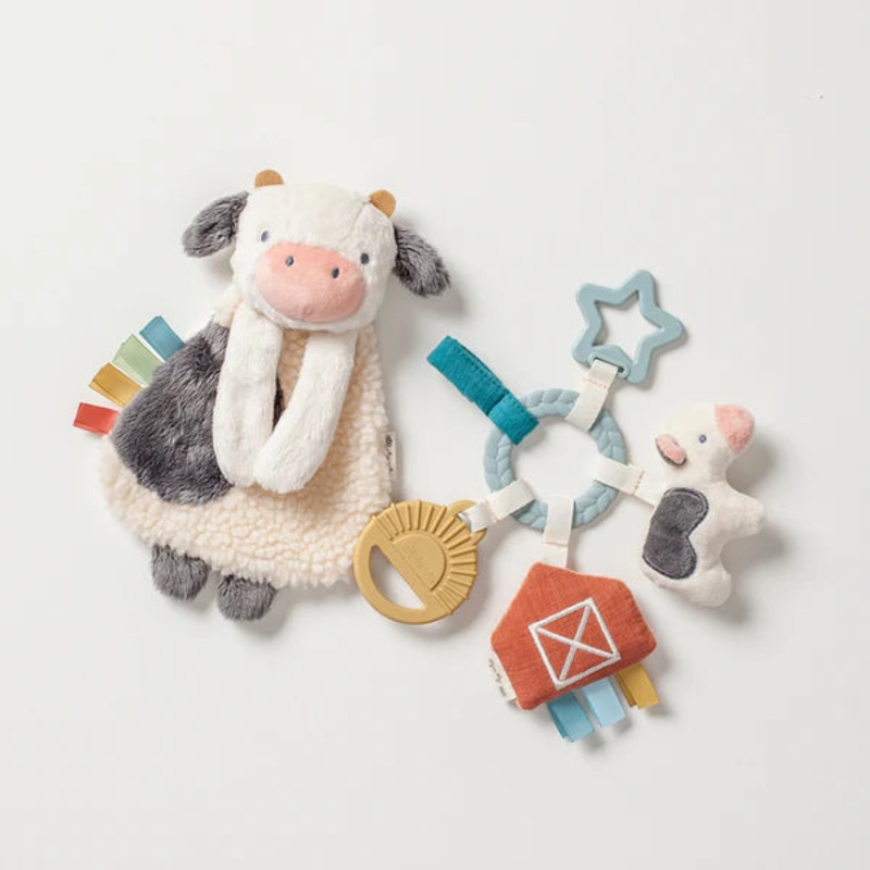 Farm Bitzy Busy Gift Set