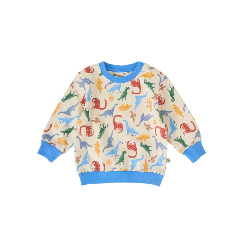 Goldie & Ace - Dino-Mite Relaxed Terry Sweater