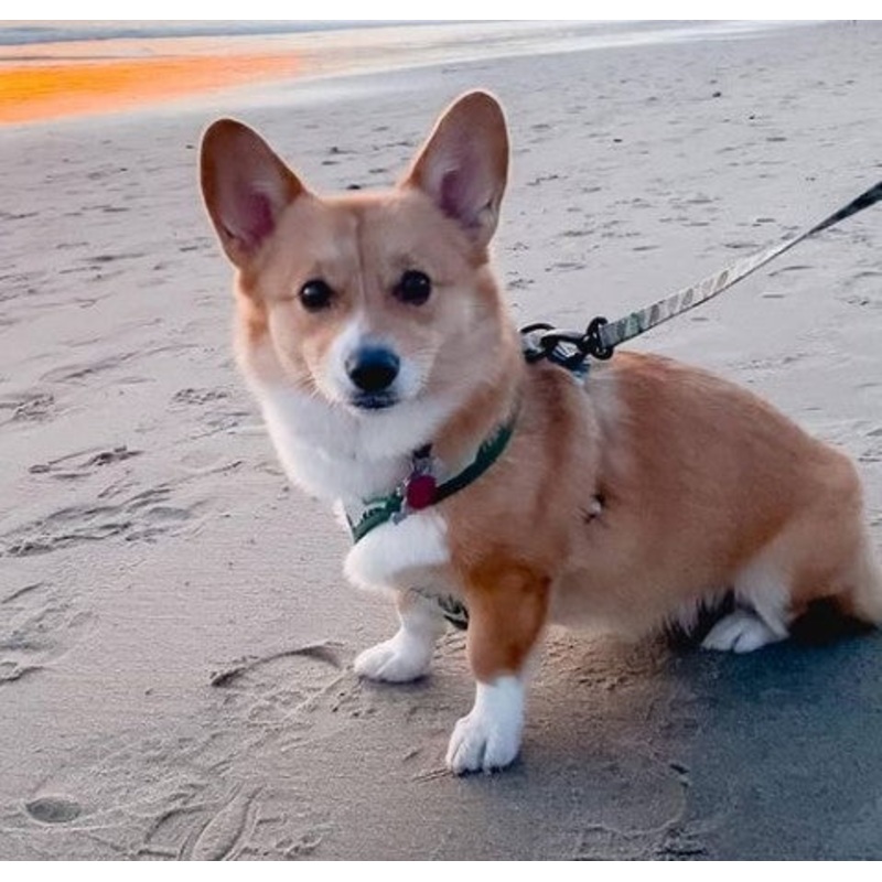 Fennie Fund S97465294