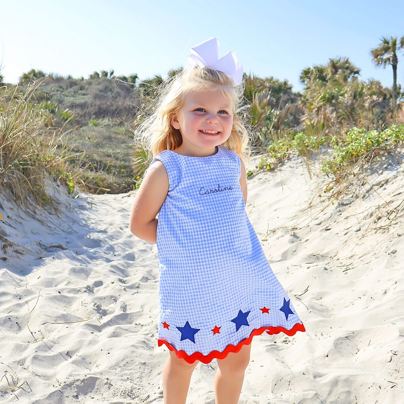 Star Spangled Light Blue Gingham Eleanor Dress
