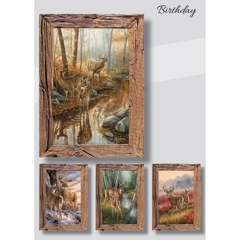 Whitetail Deer Birthday Boxed Cards 21340