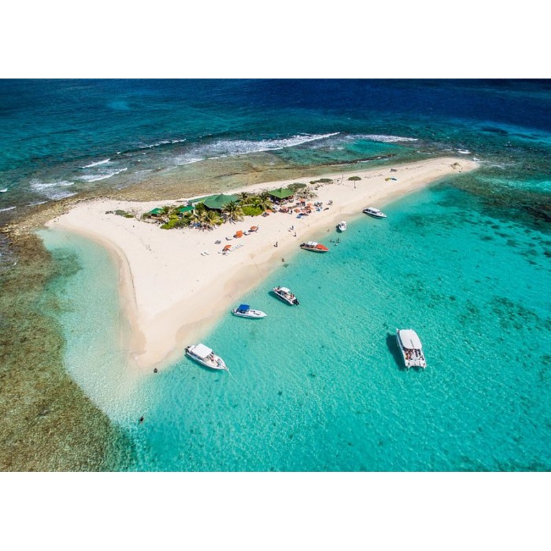 Honeymoon Activity Funds