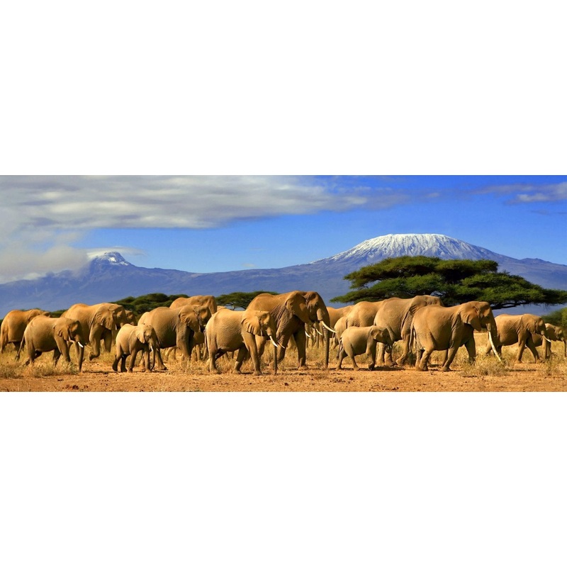 More Honeymoon Adventures