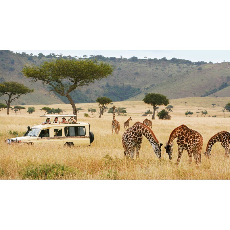 African Safari Trip 2022 (Gift Any Amount!)