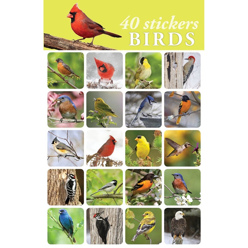 Bird Stickers 3638