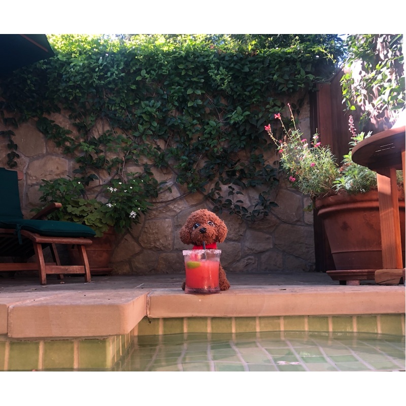 Honeymoon Travel Fund S97444830