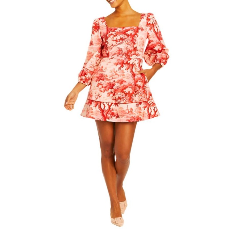 Valeria Mini Dress in Red/Pink French Toile