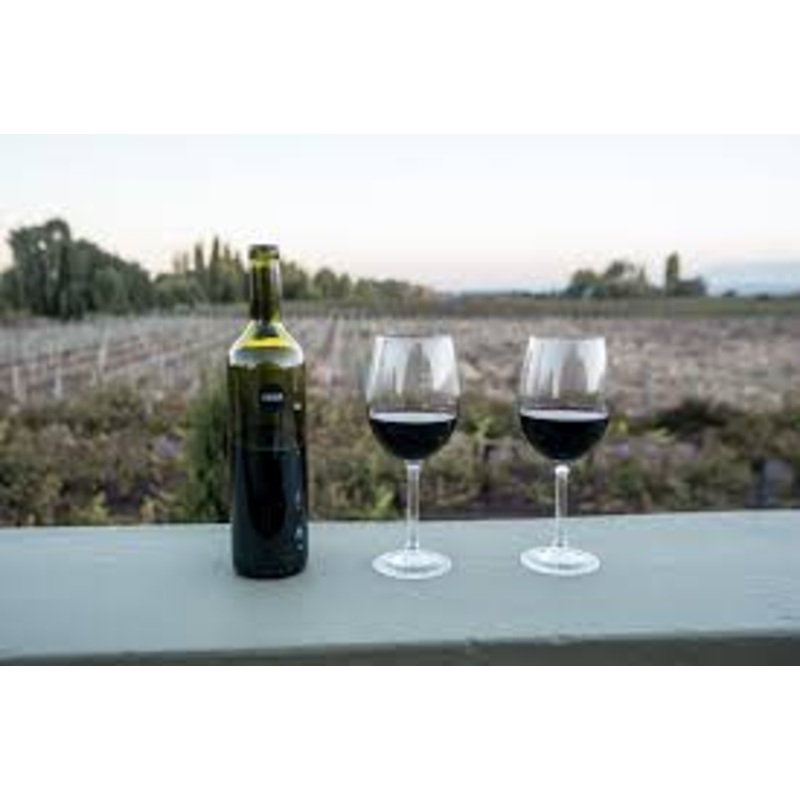 Wine Tasting in Mendoza, $350 S97389161