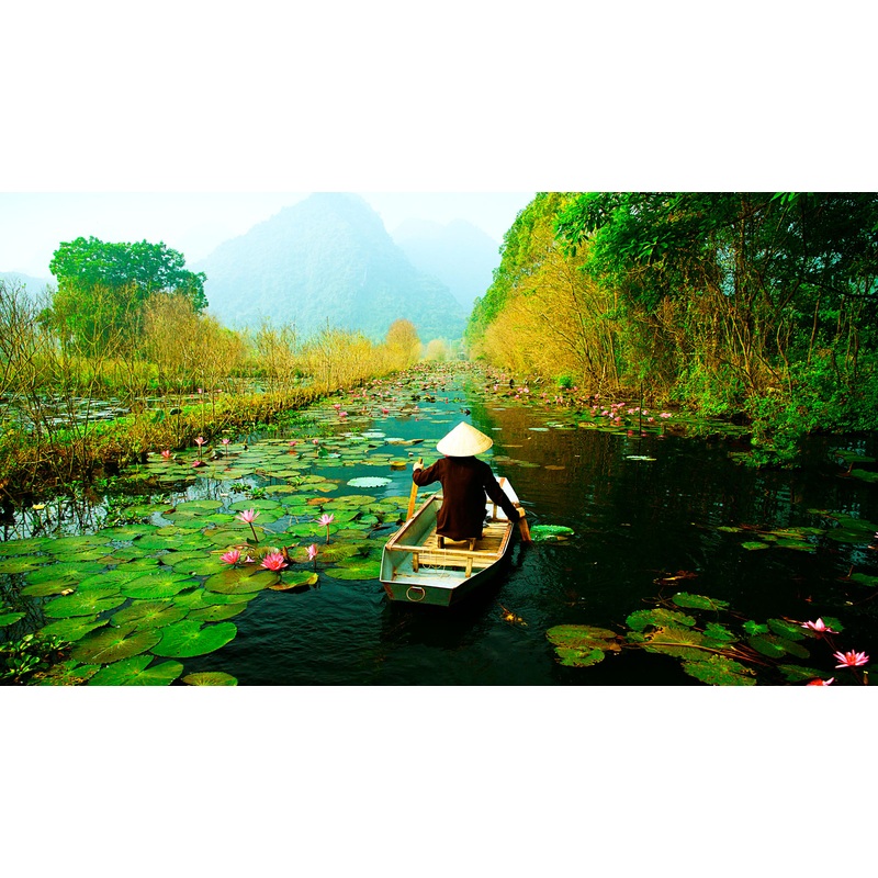 Honeymoon Fund S97456902