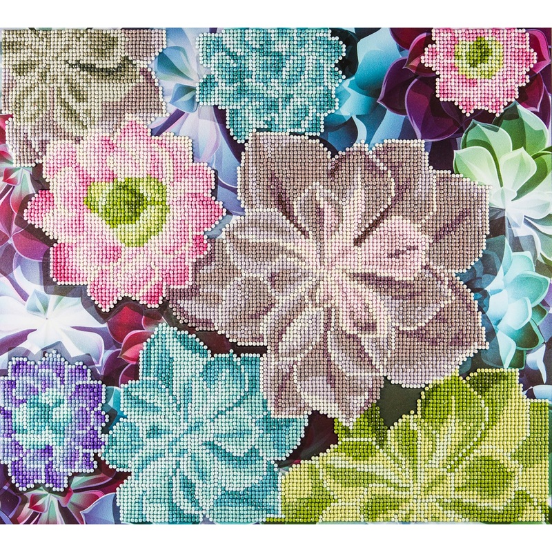 Advanced Diamond Art Kit Succulents DMA49389