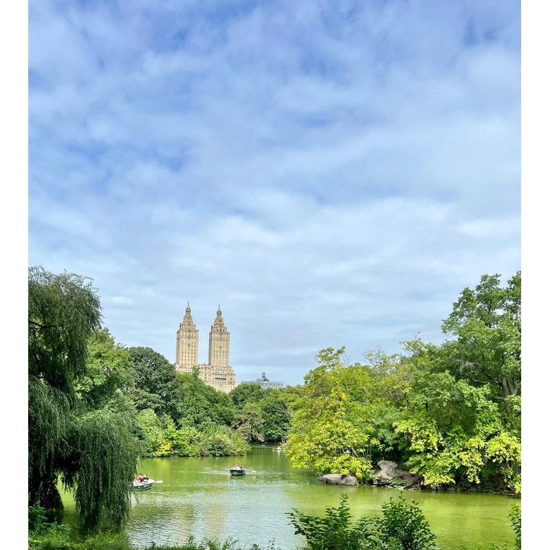 Honeymoon Fund S97387578