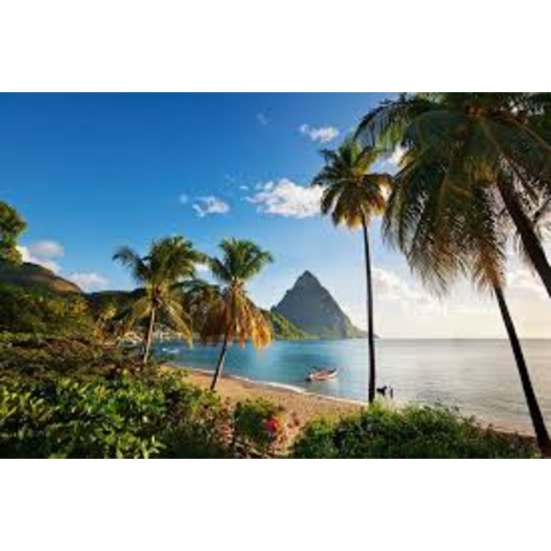 Honeymoon Fund S97429410