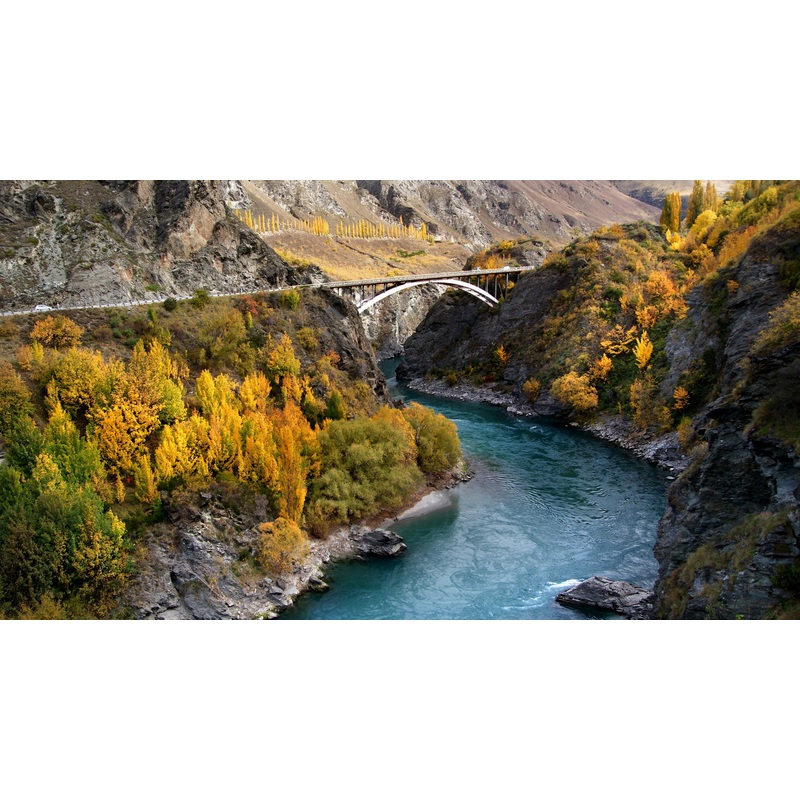 New Zealand Honeymoon Fund! S97417843