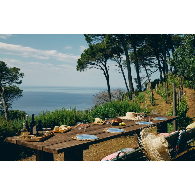 Portofino Coastal Bike & Vineyard Experience