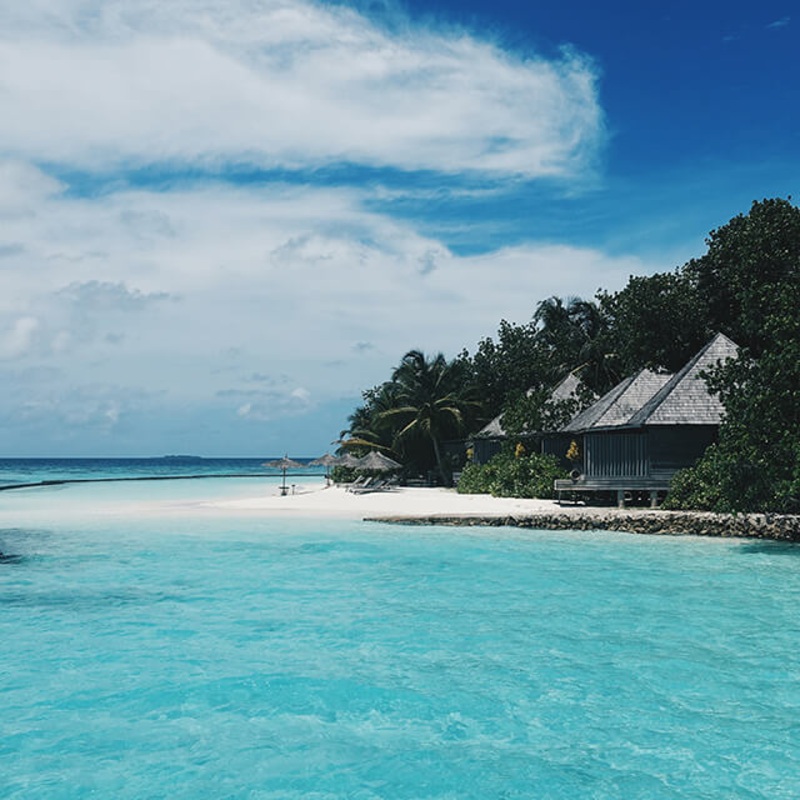 Honeymoon Fund S97461192