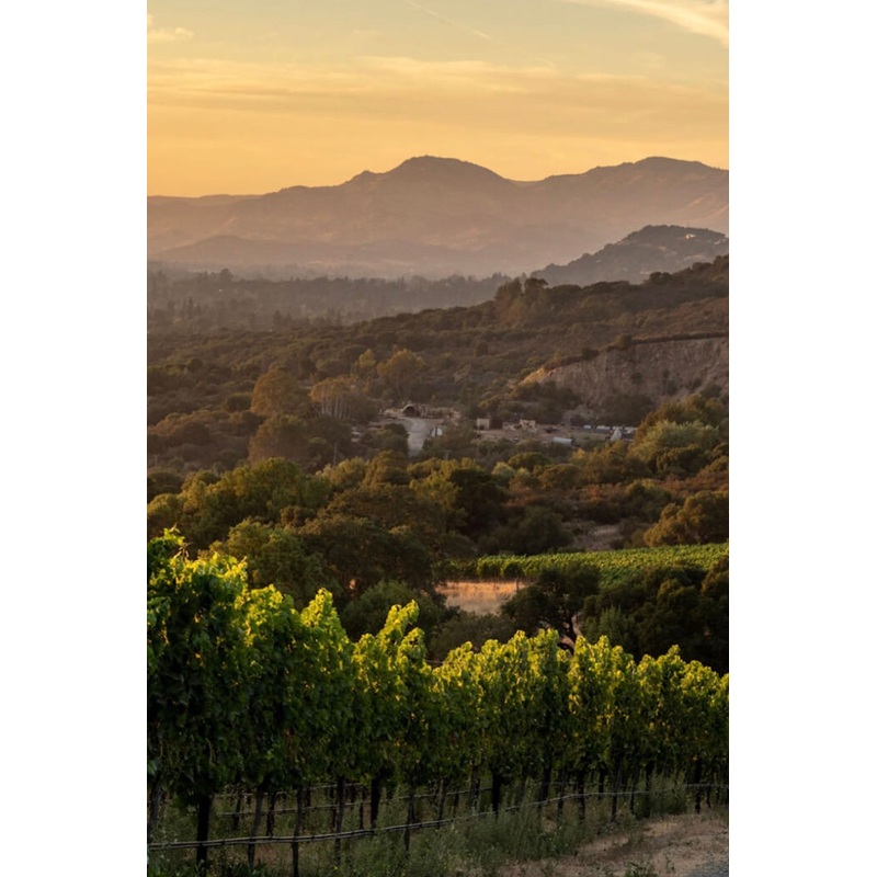 Wine Tasting S97431526