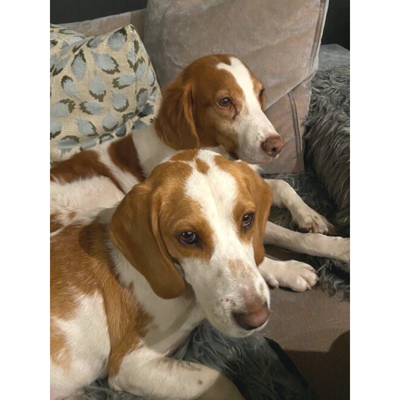 Freedom Flyer Program