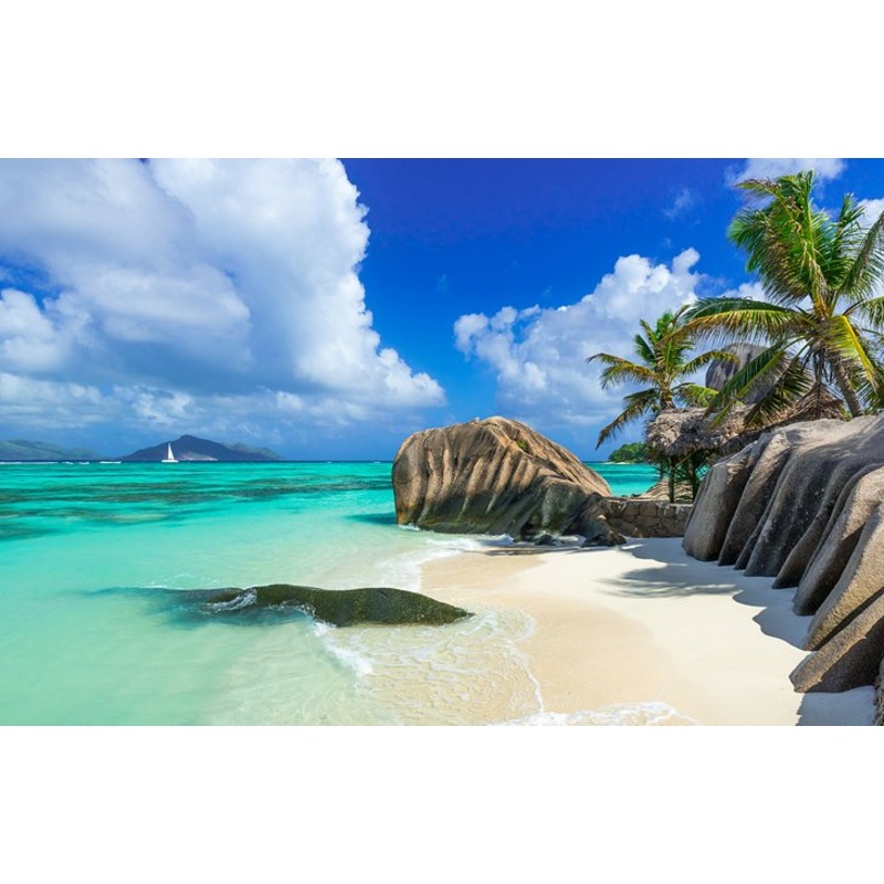 Honeymoon Fund S97458155