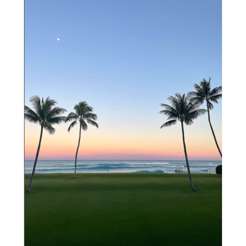 Honeymoon! S97445588