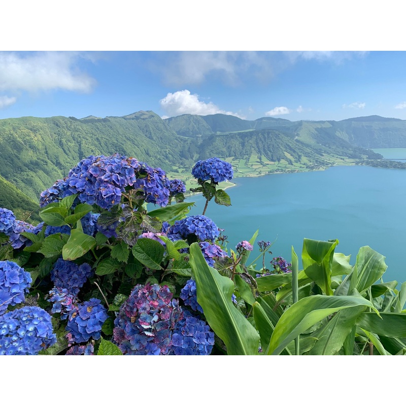 Honeymoon travels S97432654