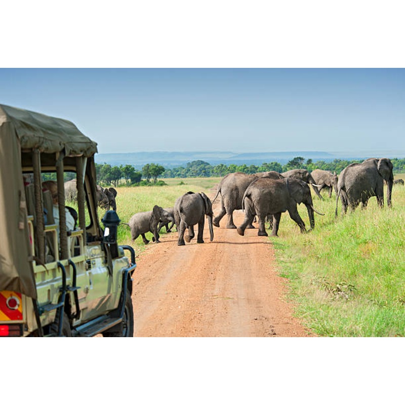 Honeymoon Fund S97435065