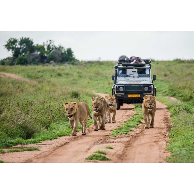 Honeymoon in South Africa and Mozambique!