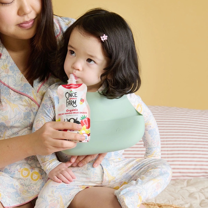 Misty Green Silicone Bib