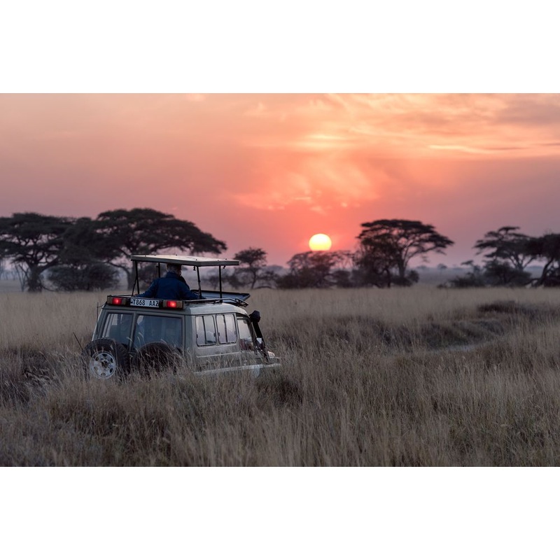 Honeymoon Fund S97389737