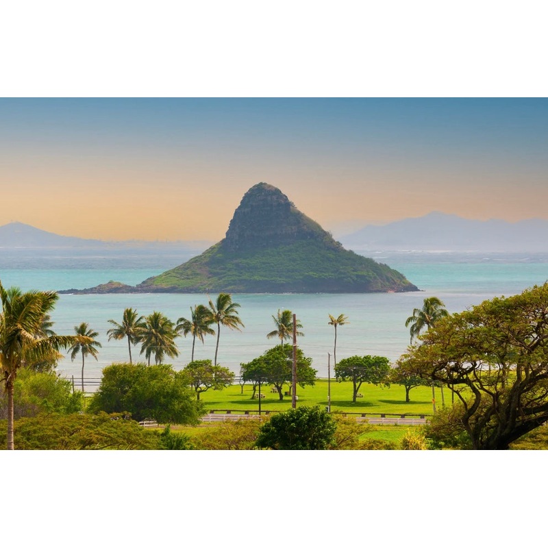 Honeymoon Fund S97398732