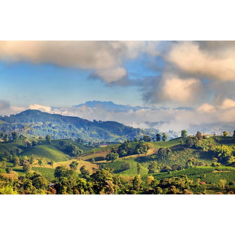 Honeymoon Fund S97457473