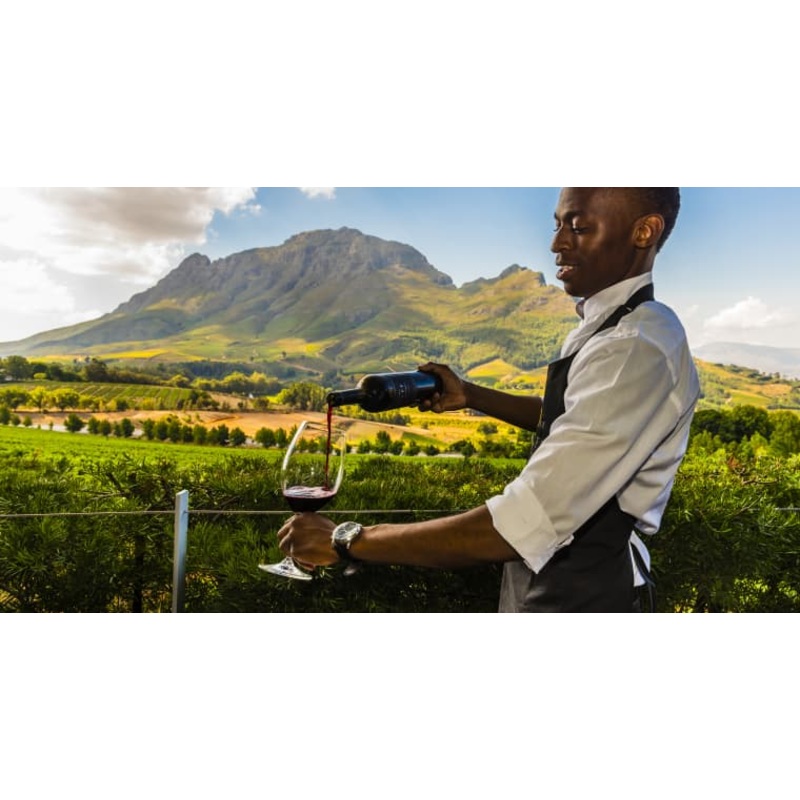 Stellenbosch Private Wine Tasting