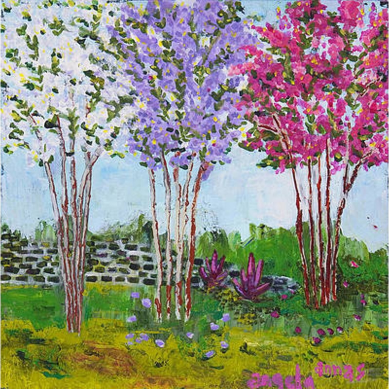 Crape Myrtle Tree Fund