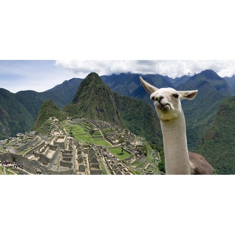 Honeymoon Fund S97423568