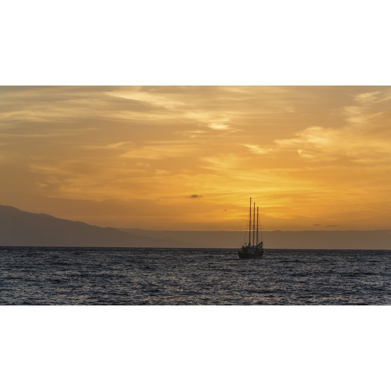 Honeymoon Experiences S97418318