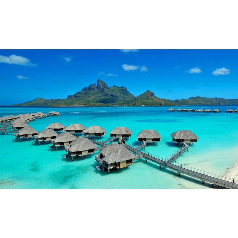 Honeymoon Fund S97423495