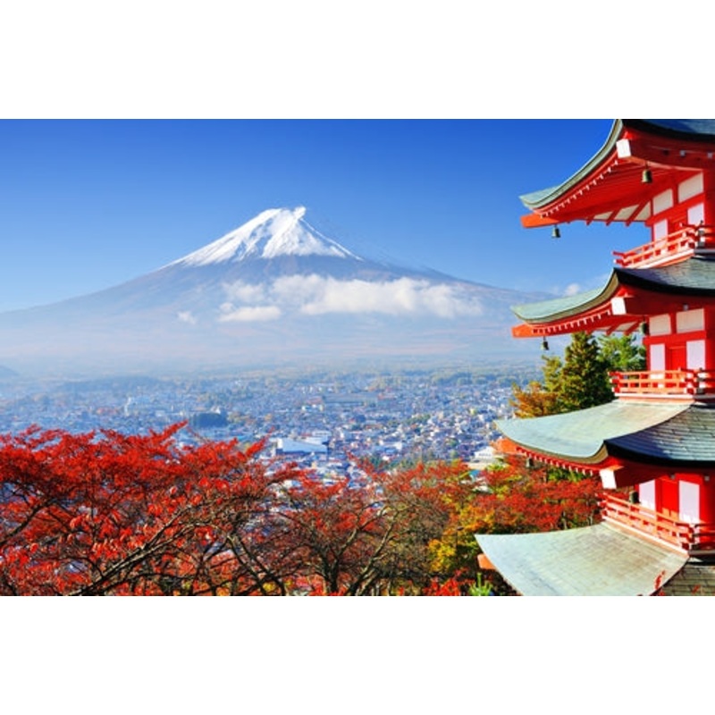 Honeymoon Fund S97433698