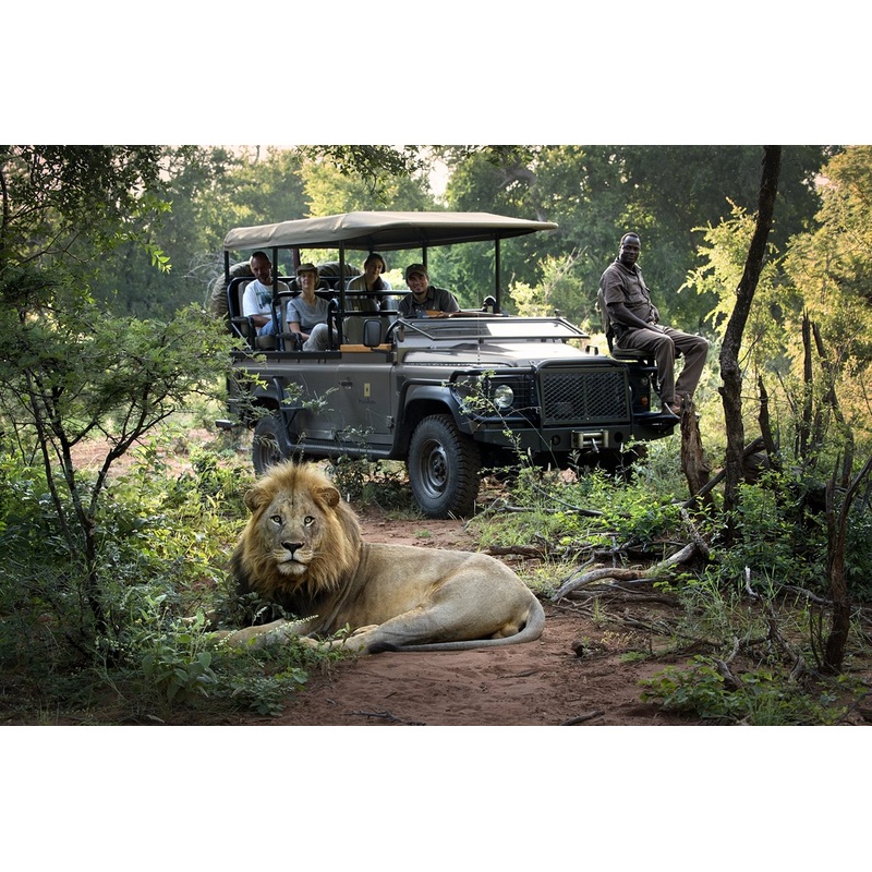 Honeymoon Fund S97448677