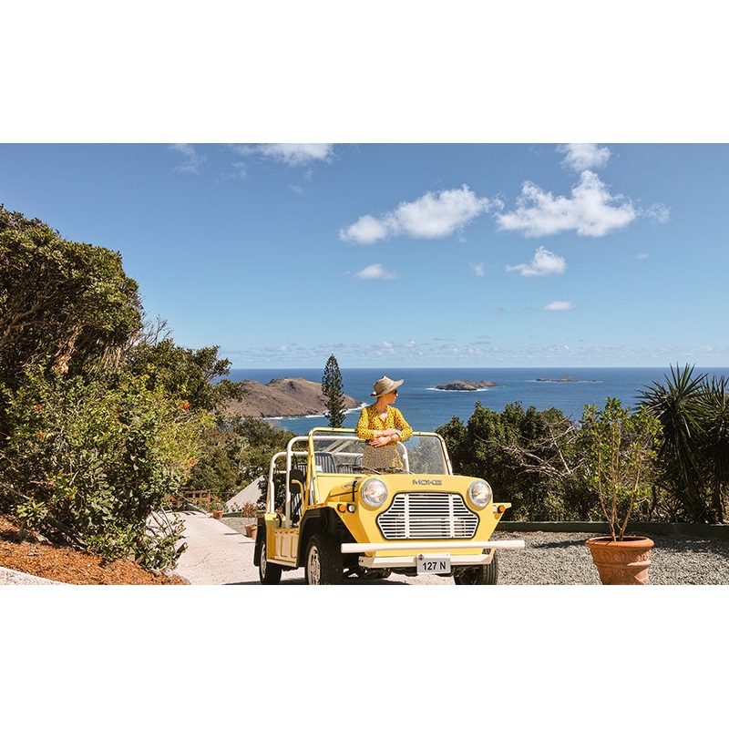 Honeymoon Rental Car