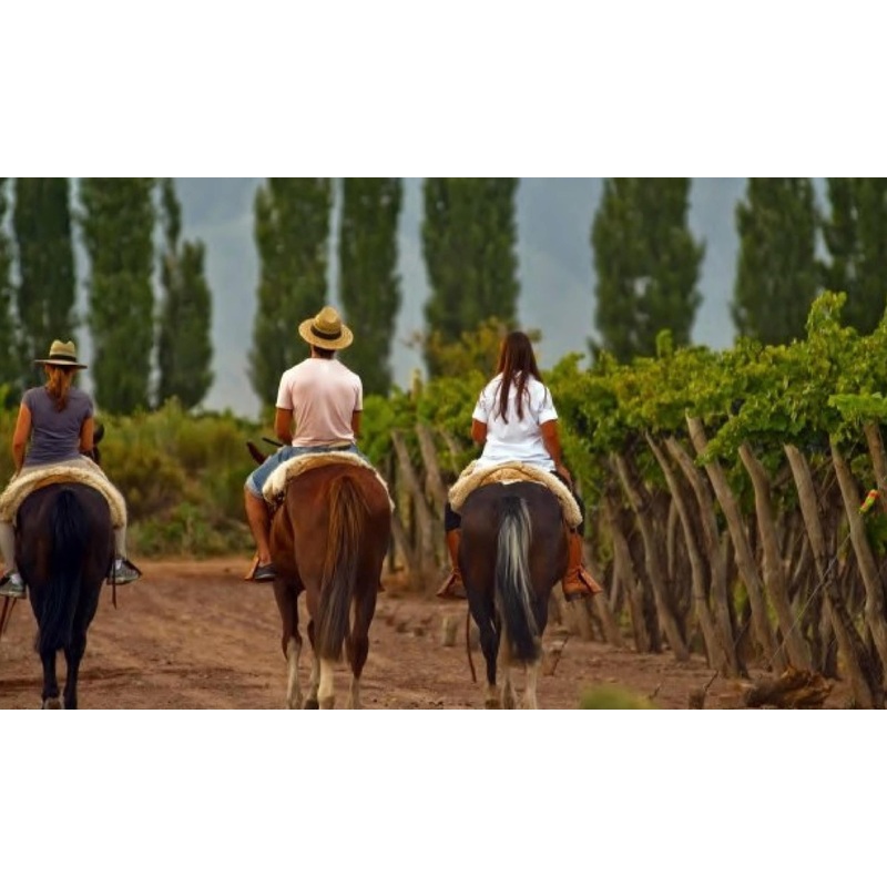 Horseback Riding in Mendoza, $275