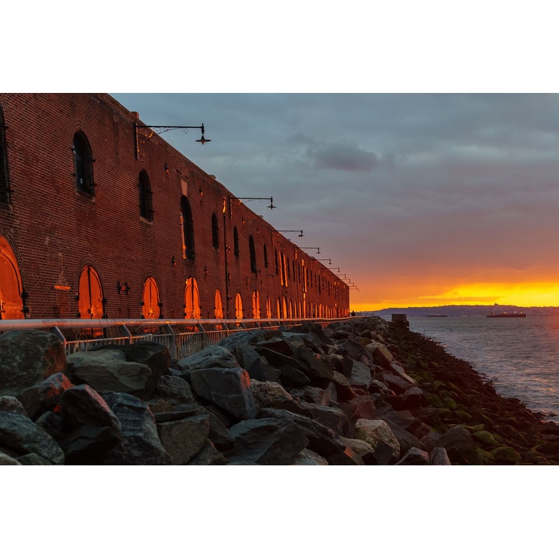 Support Red Hook Initiative