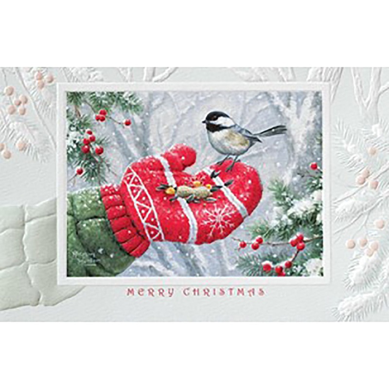 Winter Encounter Christmas Boxed Cards 98902