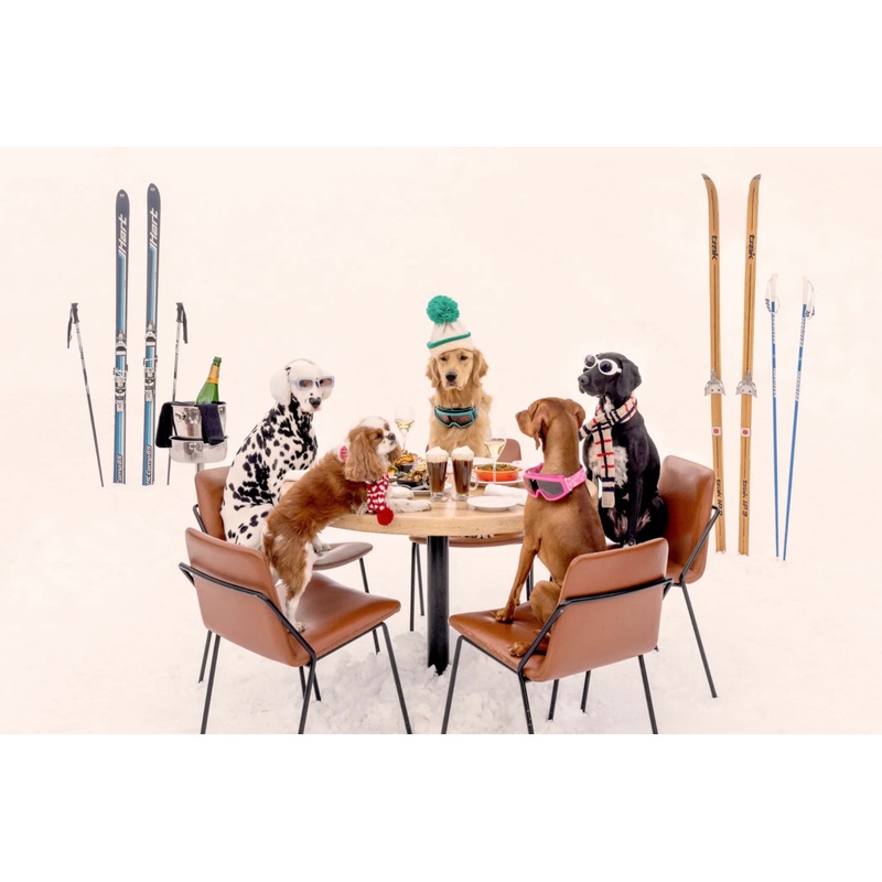 Dinner & Drinks in Switzerland