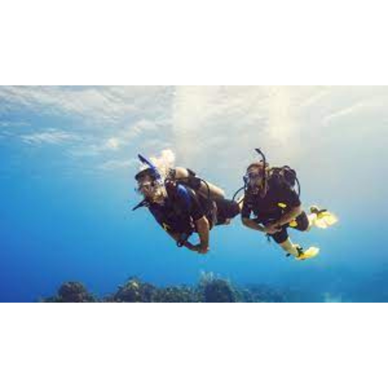 Scuba Diving at Casino Point