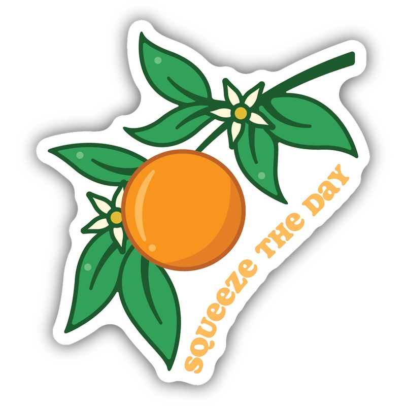 Squeeze the Day Orange Sticker 2741-LSTK