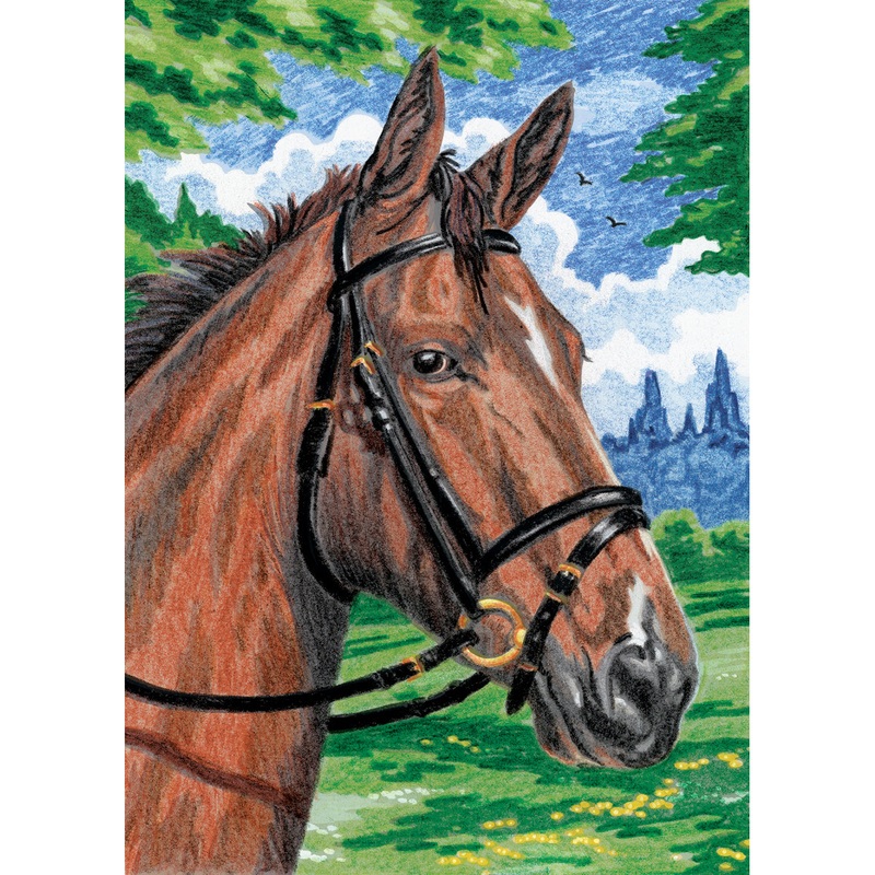 Color Pencil by Number Set Horse CPNMIN-101
