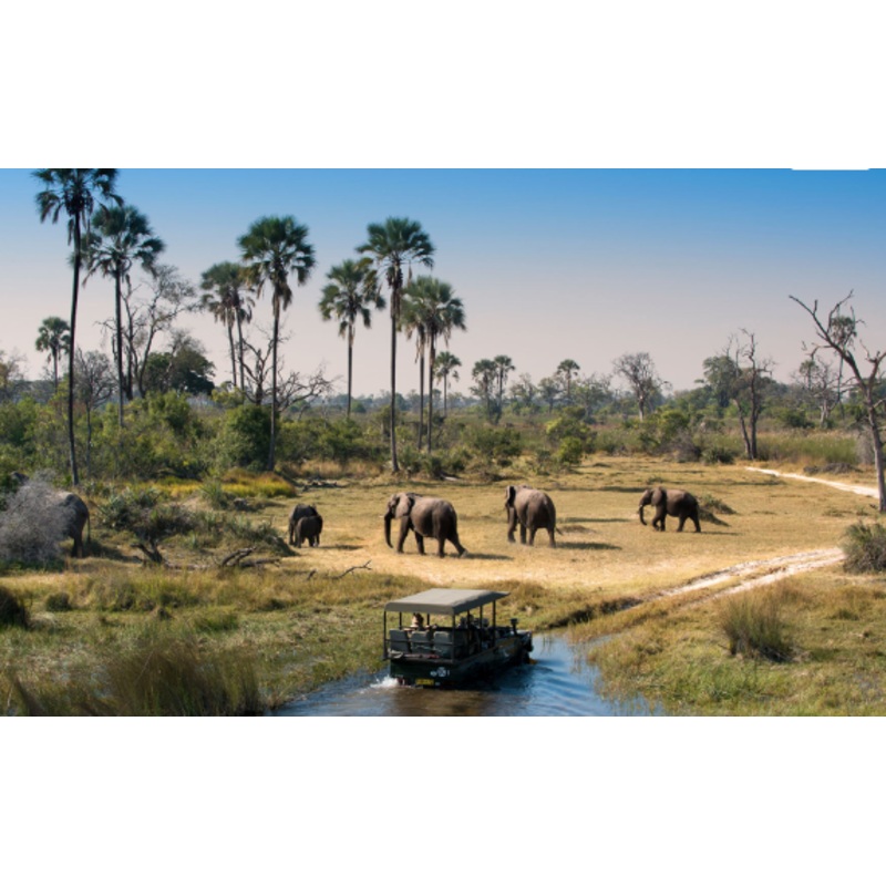 Honeymoon Fund S97441753