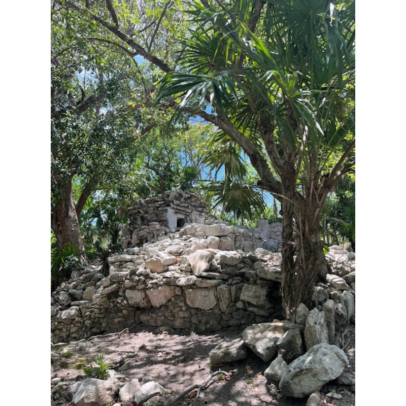 Honeymoon Hotel S97472264