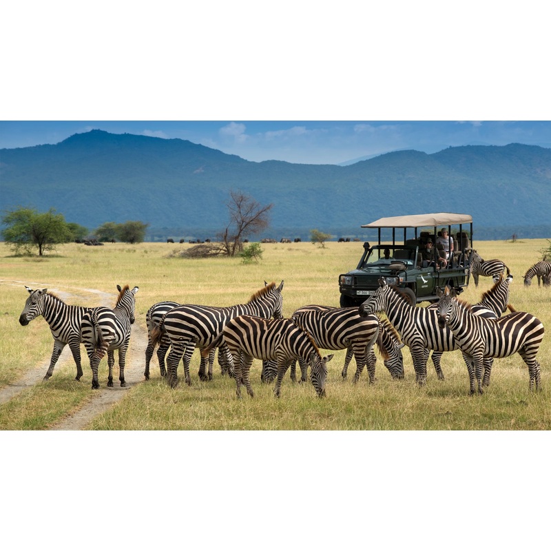 Safari Game Ride